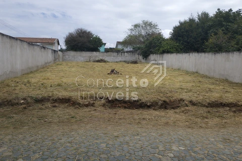 Foto Terreno