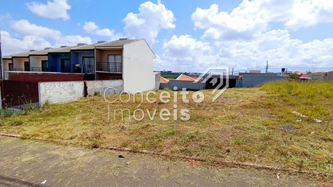 Foto Terreno