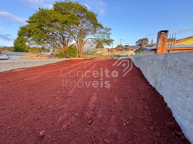 Terreno Com 462m² - Jardim Paraíso - Uvaranas