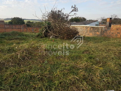 Foto Terreno