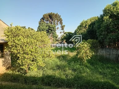 Terreno Com 784 M² - Uvaranas