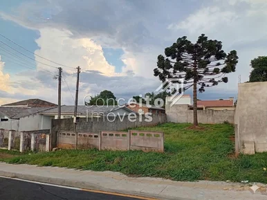 Terreno Com 480 M² - Boa Vista