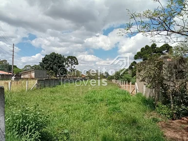 Terreno Com 1.699,50 M²  - Uvaranas