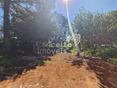 <strong>Terreno com 1.838,16 m² - Colônia Dona Luiza</strong>