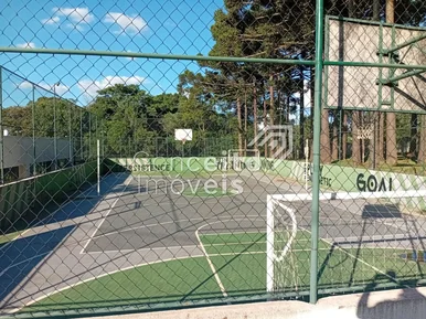 Condomínio La Riserva - Uvaranas - Terreno Com 259,74 M²