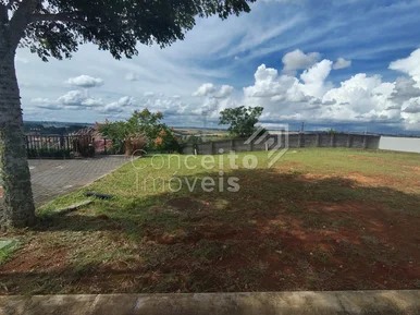 Condominio Coliseu - Terreno Com 339,96m²