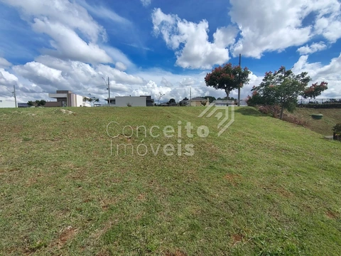Foto Terreno