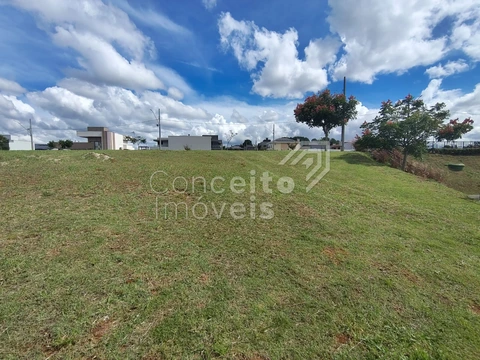 Foto Terreno