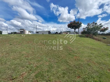 Condominio Coliseu - Terreno Com 339,96m²