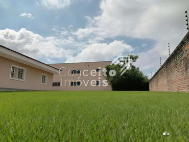 Terreno Com 228m² - Uvaranas