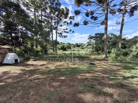 Foto Terreno