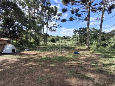<strong>Terreno plano com 2.300m² - Carambeí</strong>