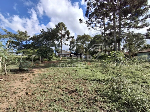 Foto Terreno