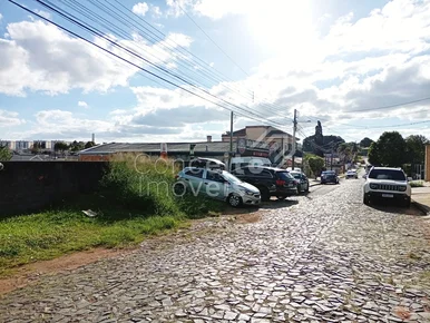 Terreno Com 462 M²- Uvaranas