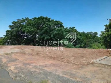 <strong>Terreno com 434 m² - Boa Vista</strong>