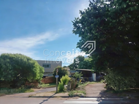 Foto Terreno