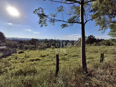 <strong>Terreno com 2.000m² - Colônia Dona Luiza</strong>