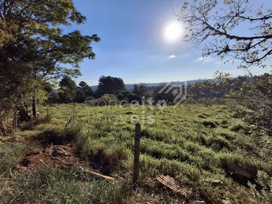 Terreno Com 2.000m² - Colônia Dona Luiza