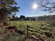 <strong>Terreno com 2.000m² - Colônia Dona Luiza</strong>