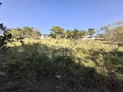 <strong>Terreno com 2.000m² - Colônia Dona Luiza</strong>