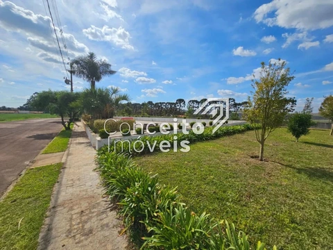Foto Terreno