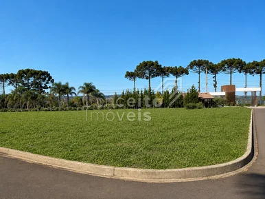 <strong>Condomínio das Araucárias -Terreno 502,50m² - Carambeí</strong>