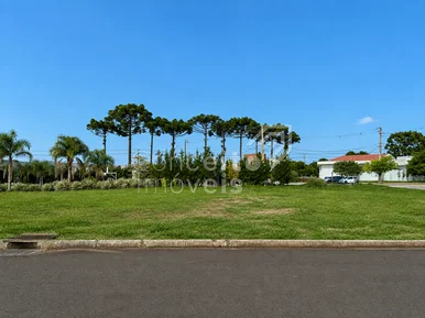 <strong>Condomínio das Araucárias - Terreno 502,50 m² - Carambeí</strong>