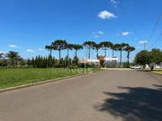 <strong>Condomínio das Araucárias - Terreno 502,50 m² - Carambeí</strong>