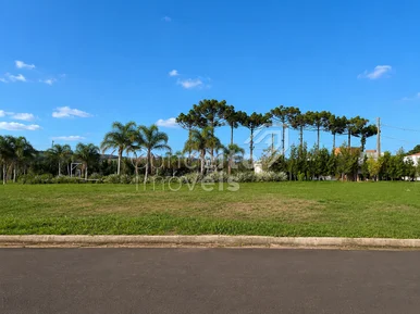 <strong>Condomínio das Araucárias - Terreno 502,50 m² - Carambeí</strong>