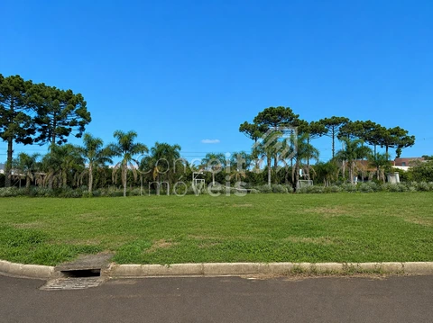 Foto Terreno