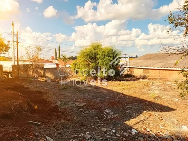 Terreno Com 542 M² - Uvaranas