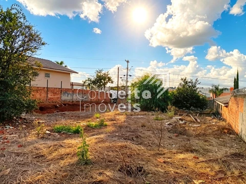Foto Terreno