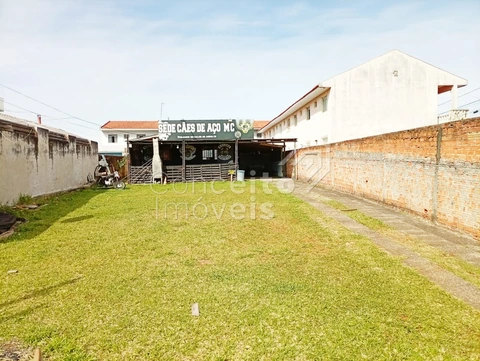Foto Terreno