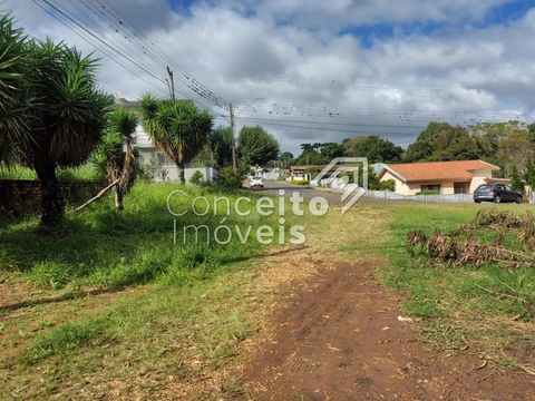 Foto Terreno
