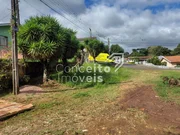 <strong>Terreno com 429m² - Estrela</strong>