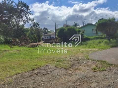 Foto Terreno