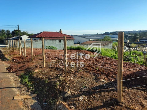 Foto Terreno