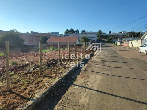 Foto Terreno