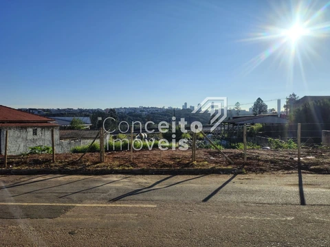Foto Terreno