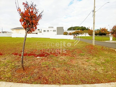 Foto Terreno