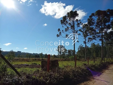 Foto Terreno