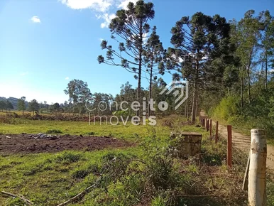 Terreno Com 23.772 M² - Colônia Dona Luiza