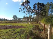 <strong>Terreno com 23.772 m² - Colônia Dona Luiza</strong>