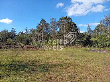 Terreno Com 23.772 M² - Colônia Dona Luiza