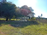 <strong>Terreno com 23.772 m² - Colônia Dona Luiza</strong>