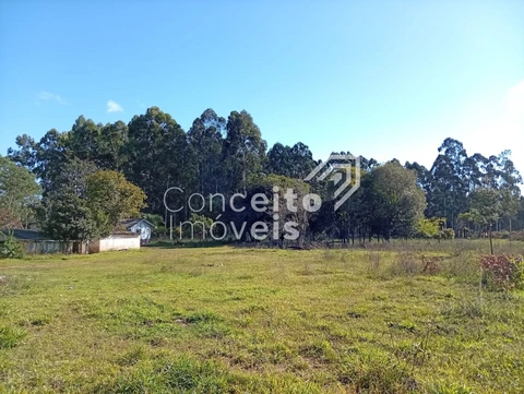 Foto Terreno