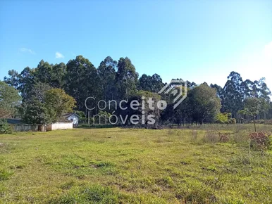 Terreno Com 23.772 M² - Colônia Dona Luiza