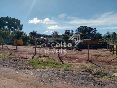 Foto Terreno