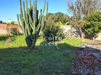 Terreno Com 500m² - Oficinas