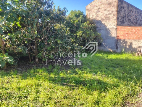 Foto Terreno